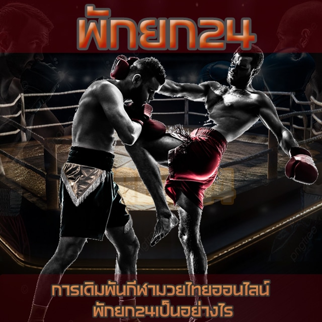 พักยก24